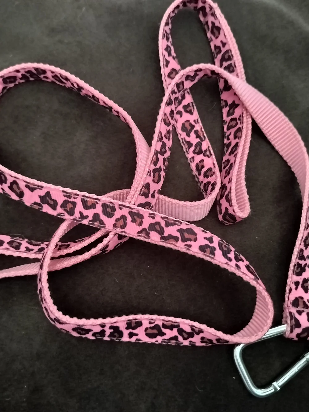 Sassy Dog Leash 3/4 in. Wide, Pink/ Leopard Print Nylon Webbing, 68 In. Long